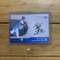 Item thumbnail for item dc7e4ed0-5eb5-4a62-b78e-292e422fe26f