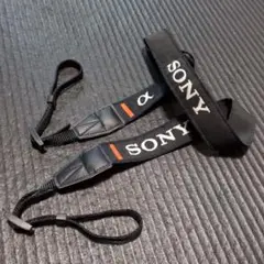 Item thumbnail for item cc4e2d89-46db-4166-90db-a291bc91b7c5