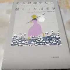 ある奴隷少女に起こった出来事
