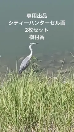 Item thumbnail for item 1684a820-50b5-4ce0-9390-8d423140ba80