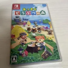 Switch あつまれ どうぶつの森
