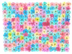 押し花 素材 訳あり コデマリ No.4