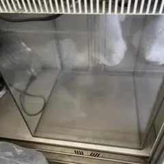 Item thumbnail for item 6d26dd3d-77b5-4702-a317-803b4f64255c