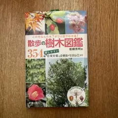 散歩の樹木図鑑 この木なんの木?がひと目でわかる! 354種探しやすい花・果実…