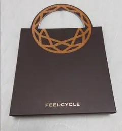 【期間限定品】feelcycle限定プロテイン