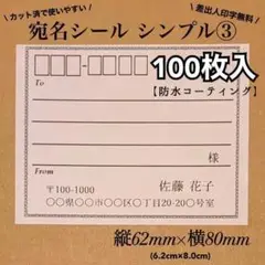 【防水加工】宛名シール シンプル③ Lサイズ　RS-4