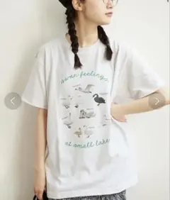 figlondon フィグロンドン swan lake story