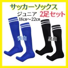 18-22cm サッカー ソックス 2足セット キッズ ジュニア 子供用