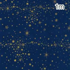 ラスト 1m 星降る空 ネイビー地ゴールドスター オックス