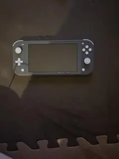 Nintendo Switch Lite グレー