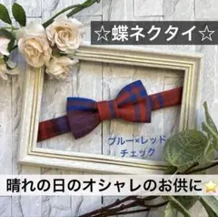 Item thumbnail for item 7ea270af-afa6-45aa-a895-f0f418e38aed