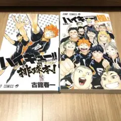 ハイキュー!! ガイドブック