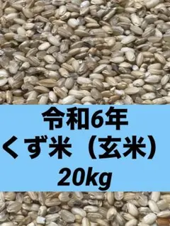 国産ブレンド くず米（玄米）20kg 楽天市場】くず米 玄米の通販