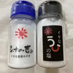 【新品・未使用】イキな塩 2本セット（塩／塩歯みがき）各100g