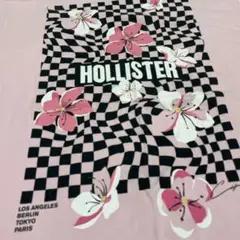 タイムセール 送料込 HOLLISTER ホリスター さくらTシャツ XL