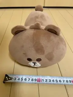 ラインライブ　オリジナル　非売品　限定　ブラウン　ぬいぐるみ