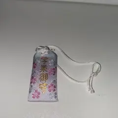 Item thumbnail for item cfeea686-b0d7-4f39-a09b-abe4240e04c3