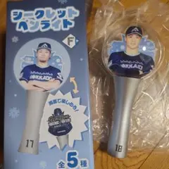 日本ハムファイターズ　山﨑福也　ビッグ ペンライト