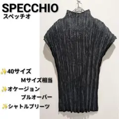 美品✨️SPECCHIO スペッチオ プリーツブラウス トップス 黒 Mサイズ