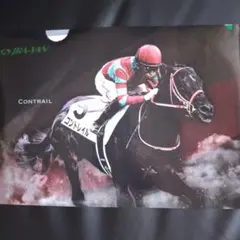 コントレイル デアリングタクト クリアーファイル