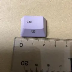Realforce RC1 日本語配列　スモーキーライラック Ctrl