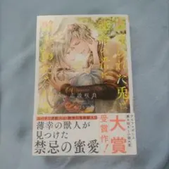 虐げられた兎は運命の番に略奪溺愛される bl小説
