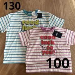 ★新品BREEZE ブリーズ ストライプ Tシャツ 130 100セット