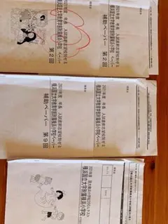 横浜国立大学教育学部附属横浜小学校 理英会ゼミ