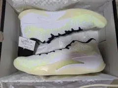 JORDAN ZION 3 PF