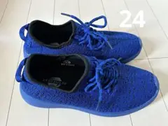 ACTIVE GEAR 青いシューズ