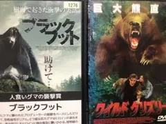 2025年最新】ブラックフット dvdの人気アイテム - メルカリ