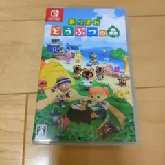 あつまれどうぶつの森　Switch