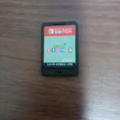 ソフトのみ　あつまれ どうぶつの森