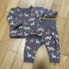 Item thumbnail for item 20d74e92-3a1a-42b8-a431-fc6c961245a0