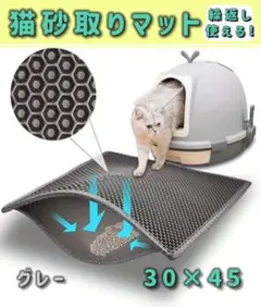 Item thumbnail for item a3233a56-32b3-44e3-a6c3-b0910e36a00f