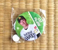 若鷹ガチャ ネクストブレイクver. 藤野恵音選手