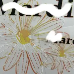 お花柄　アイロンシート　２点セット