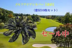 Item thumbnail for item 3e5e5bcd-585c-4049-b417-2ca04b70b835