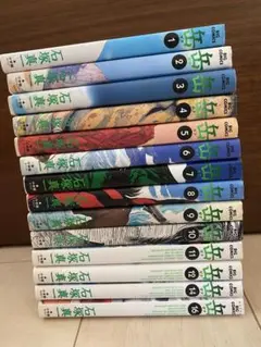 岳　1〜16巻セット　※13.15巻はありません。