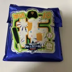 マイナビオールスターゲーム2025 シークレットアクリルネームバッジ　甲斐拓也