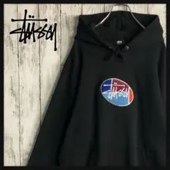 【即完売品】STUSSY パイルロゴ センター 刺繍ロゴ パーカー 希少Lサイズ