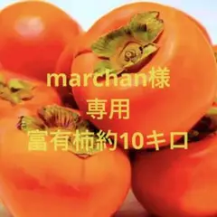 marchan様専用 富有柿約10キロ