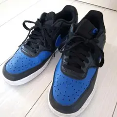 NIKE コートビジョン24.5cm