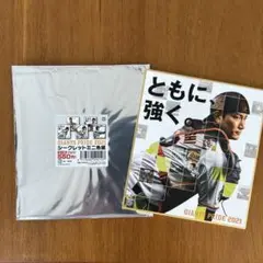 ジャイアンツ 巨人 ミニ色紙 小林誠司 グッズ
