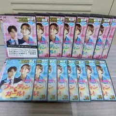韓国ドラマ ファイティン♡ガール〜MIss Lee〜 DVD 全16巻