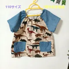Item thumbnail for item ef1d5459-b6e9-46b8-8f7f-f19f588e4d1c