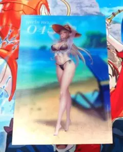 対魔忍 シュヴァリエ FACE Vol.04 ～ビーチスナップ～