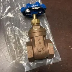 WATTS regulator 0993 1 125 ゲートバルブ