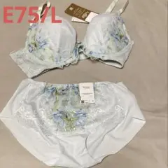 Wing Lesiage E75