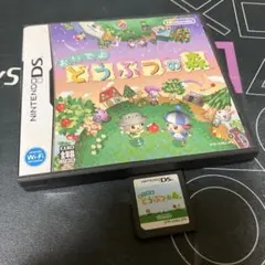 8.20.水⭐️おいでよ どうぶつの森 (ニンテンドーDS)
